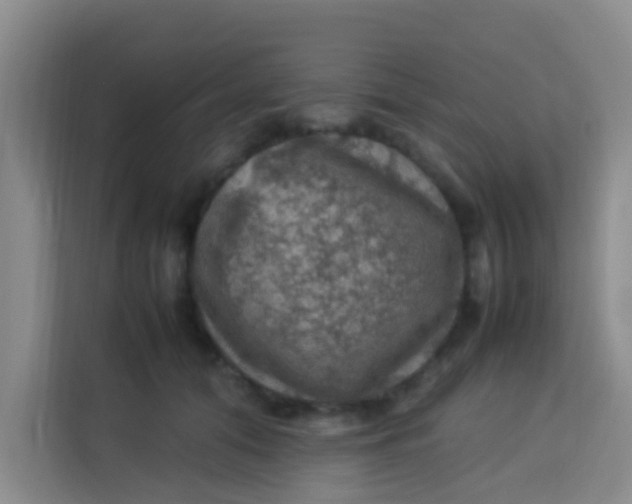 X0000113640608200910091538