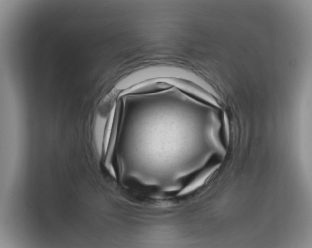 X0000113640609200910091538