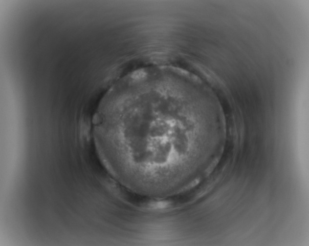 X0000113640610200910091538