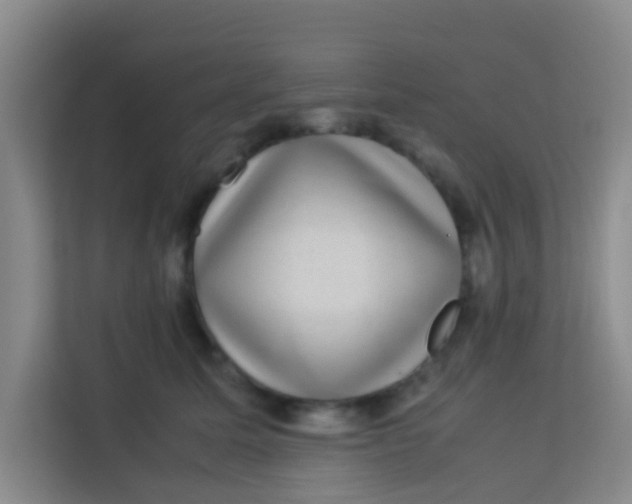 X0000113640611200910091538