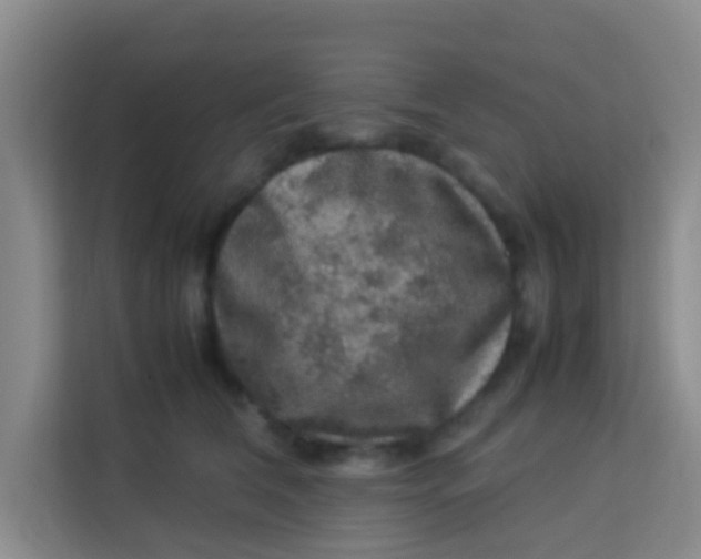 X0000113640612200910091538