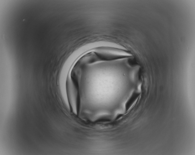 X0000113640613200910091538