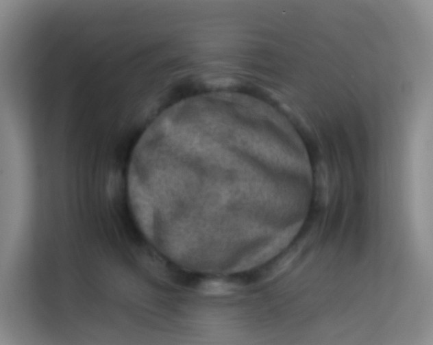 X0000113640614200910091538