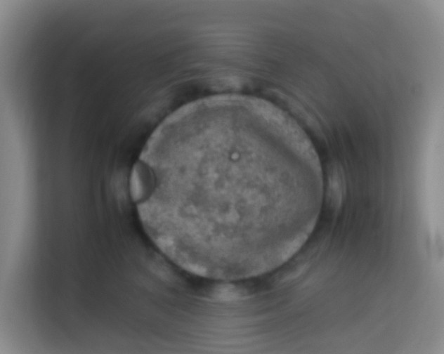 X0000113640616200910091538