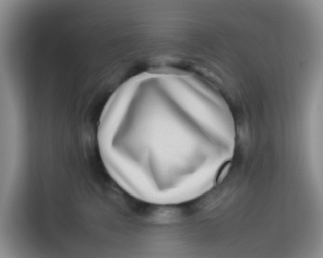 X0000113640617200910091538