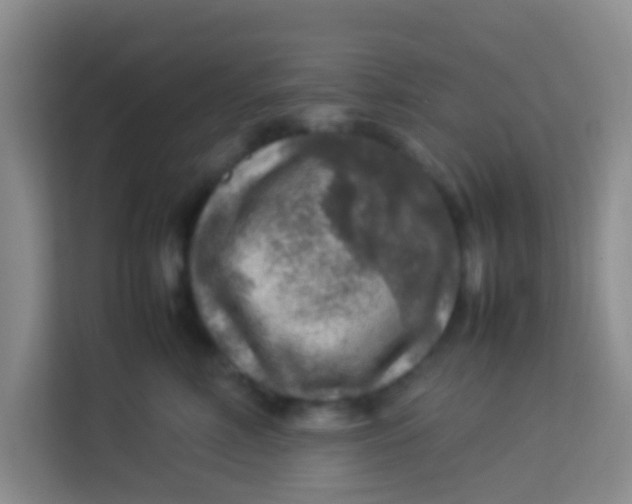 X0000113640618200910091538