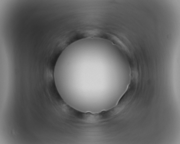 X0000113640621200910091538