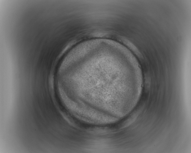 X0000113640626200910091537