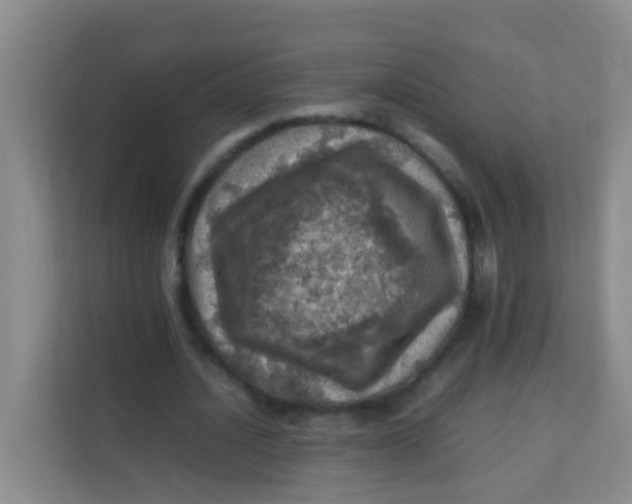 X0000113640628200910091537