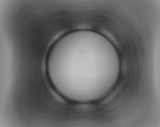 X0000113640629200910091537