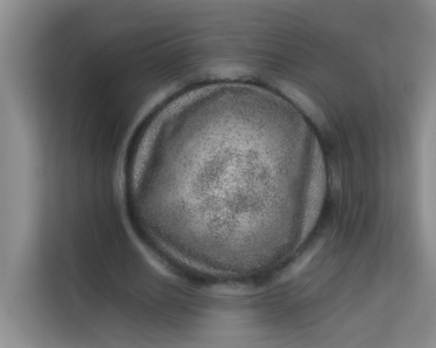 X0000113640630200910091537