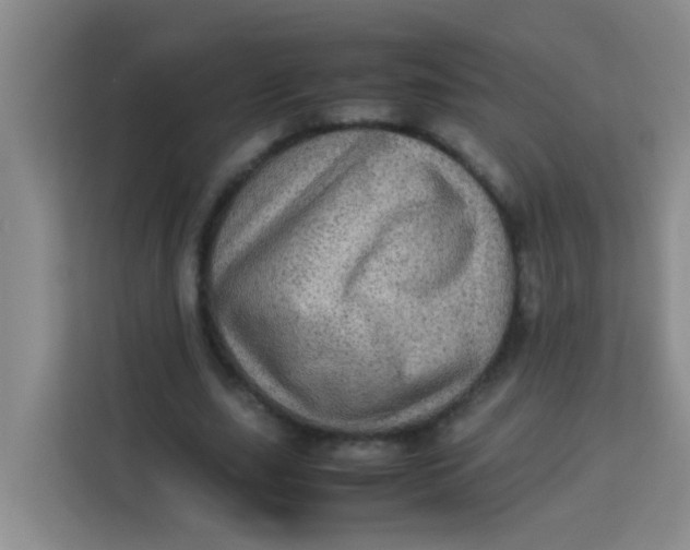 X0000113640631200910091537