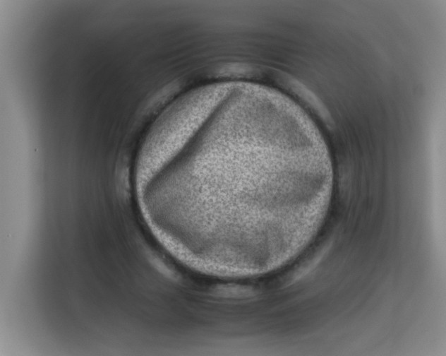 X0000113640633200910091537