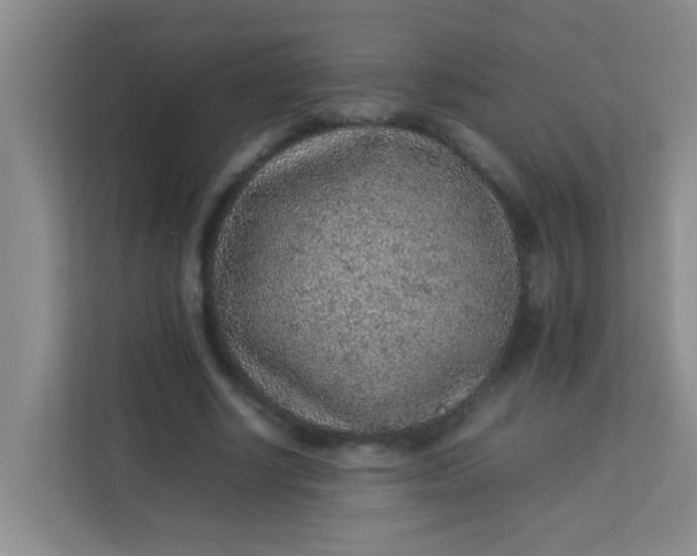 X0000113640634200910091537