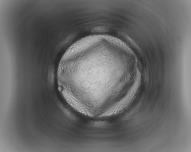 X0000113640637200910091537