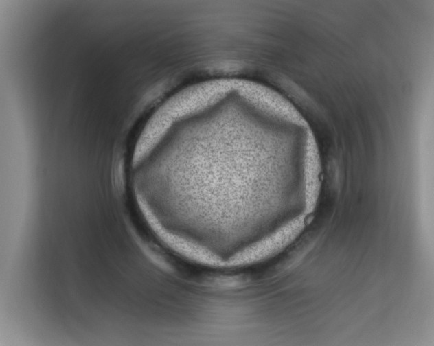 X0000113640638200910091537