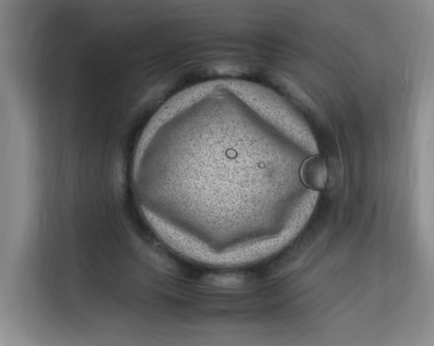 X0000113640639200910091537