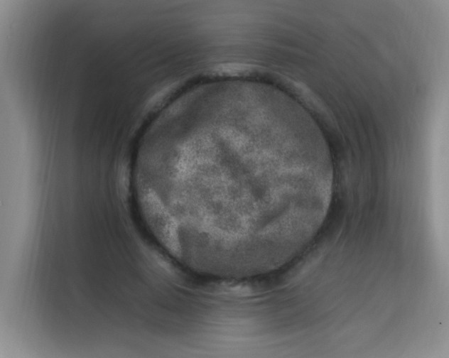 X0000113640640200910091537