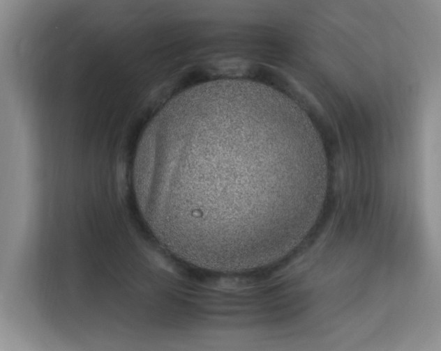 X0000113640641200910091537