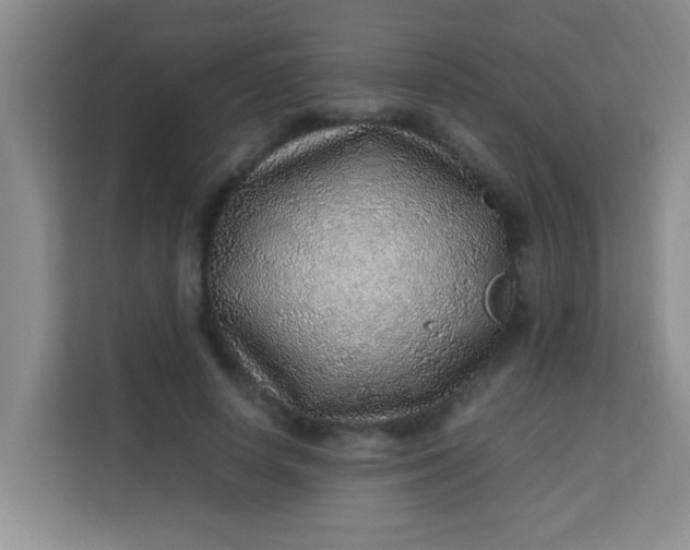 X0000113640642200910091537