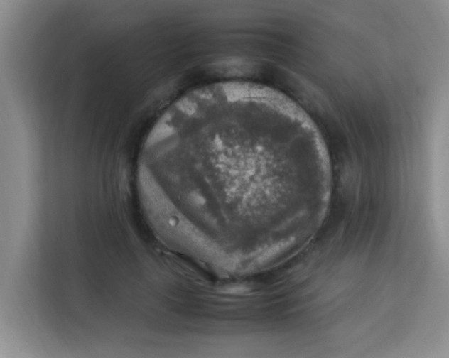 X0000113640643200910091537