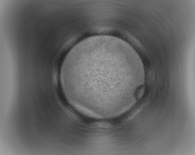 X0000113640644200910091537