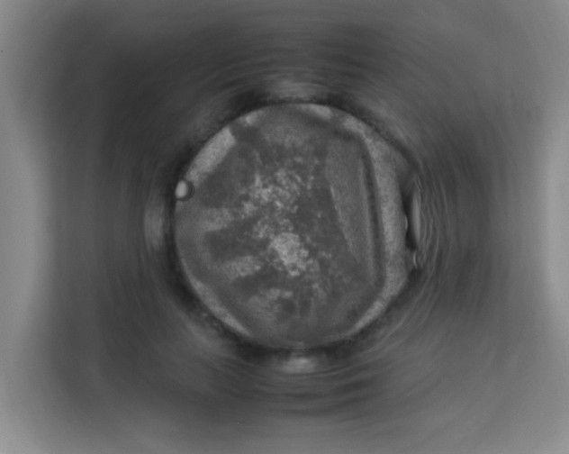 X0000113640647200910091537