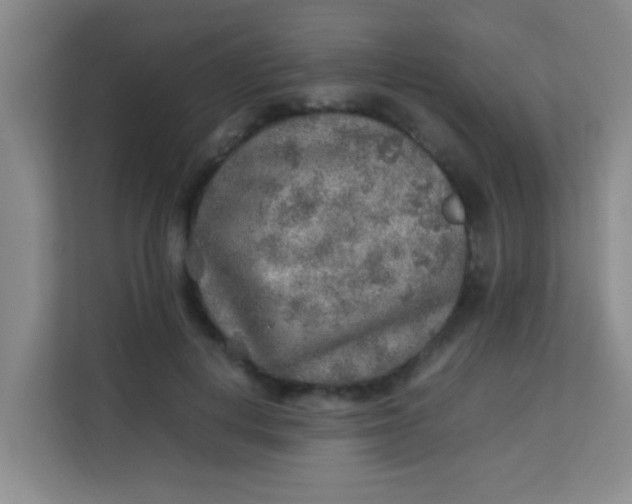 X0000113640648200910091537