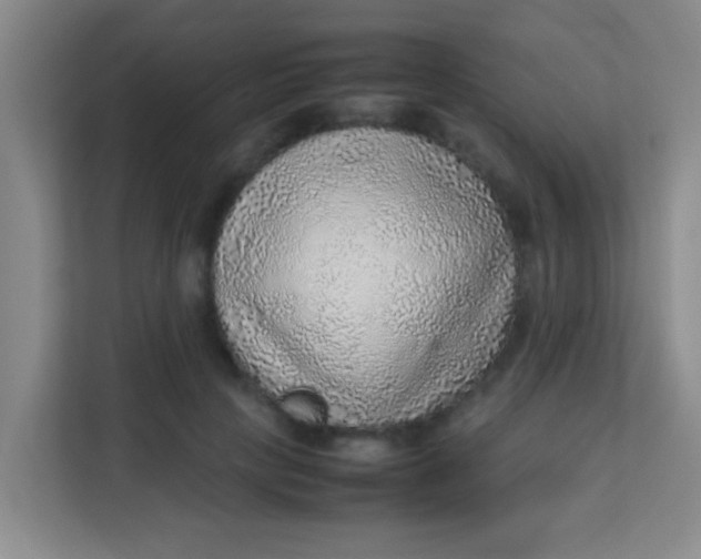 X0000113640649200910091537