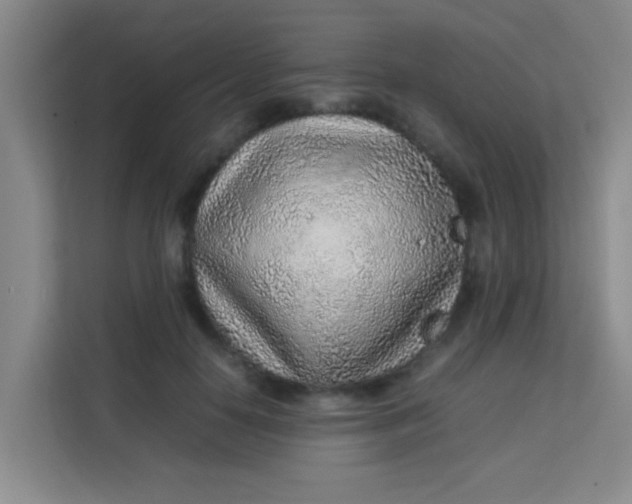 X0000113640650200910091537