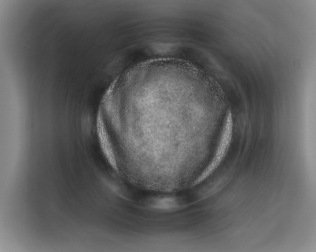 X0000113640651200910091537