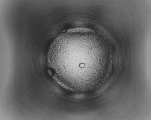 X0000113640653200910091538