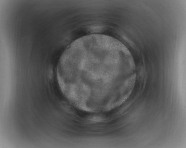 X0000113640655200910091538