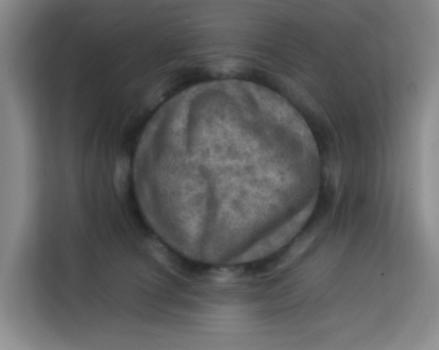 X0000113640660200910091538