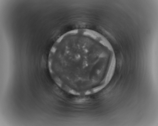 X0000113640661200910091538