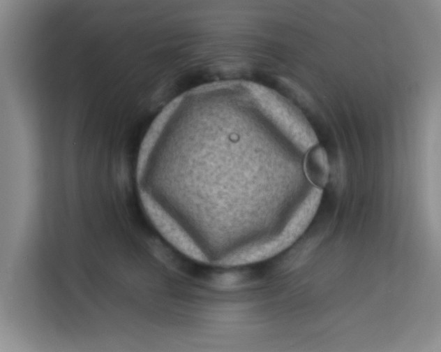 X0000113640662200910091538