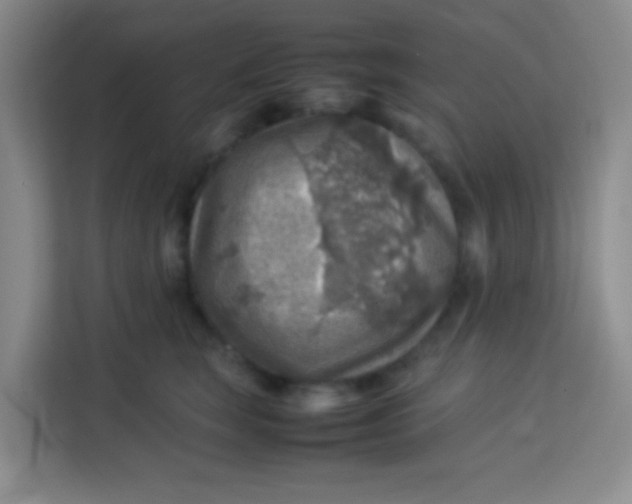 X0000113640663200910091538