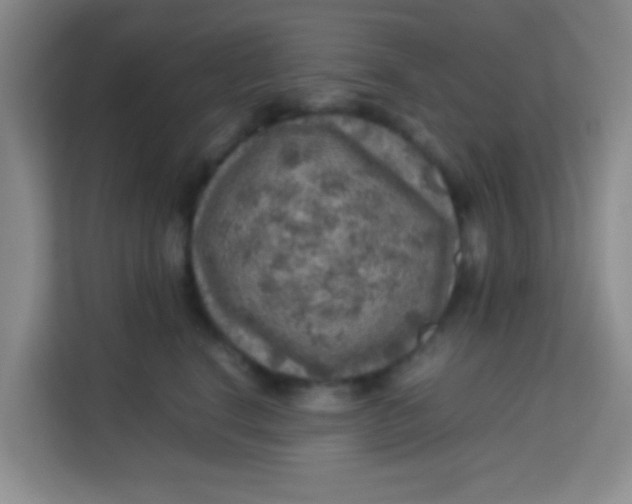 X0000113640664200910091538