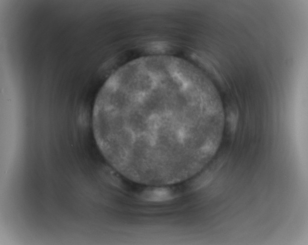 X0000113640665200910091538