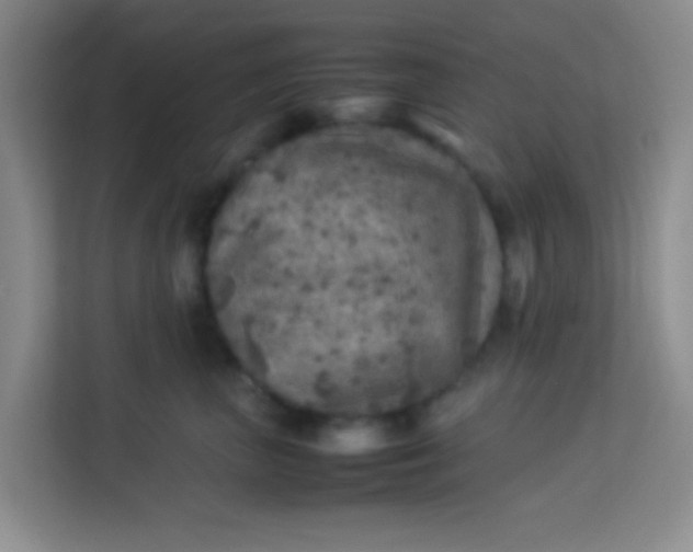 X0000113640667200910091538