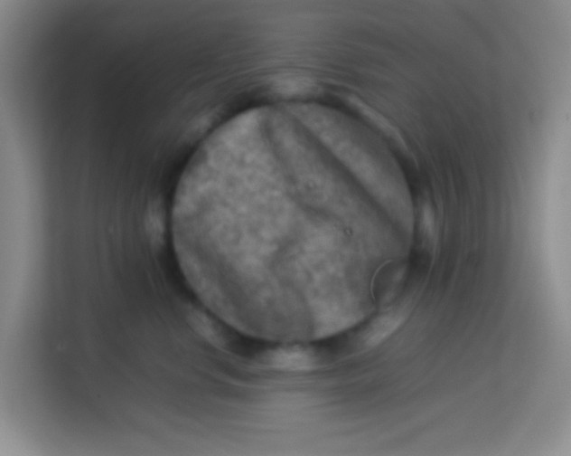 X0000113640668200910091538