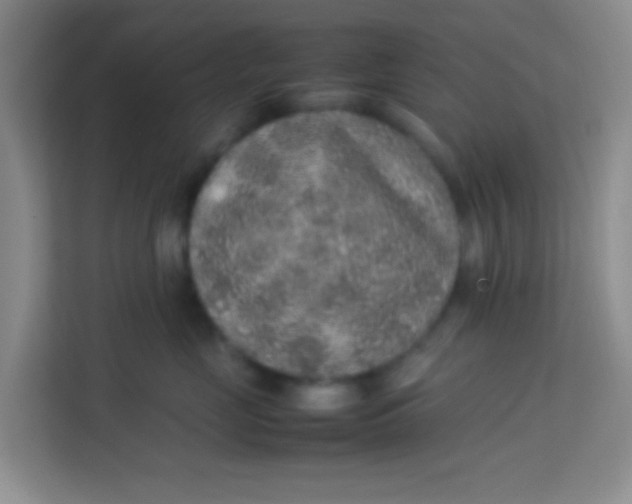 X0000113640669200910091538