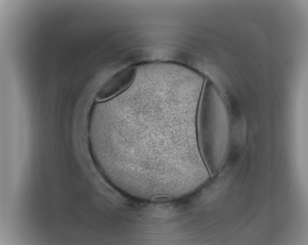 X0000113640673200910091537