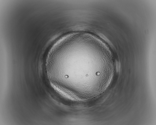 X0000113640675200910091537