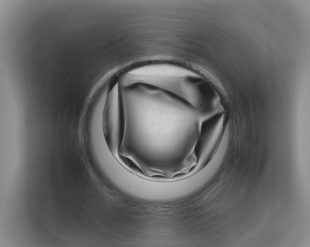 X0000113640676200910091537