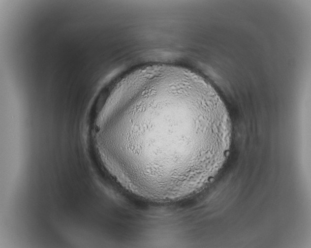 X0000113640679200910091537