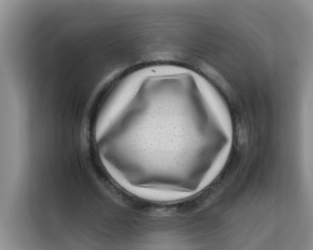 X0000113640680200910091537