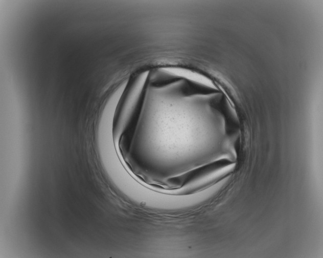 X0000113640681200910091537