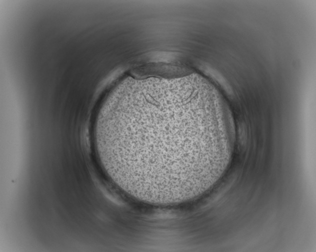 X0000113640682200910091537