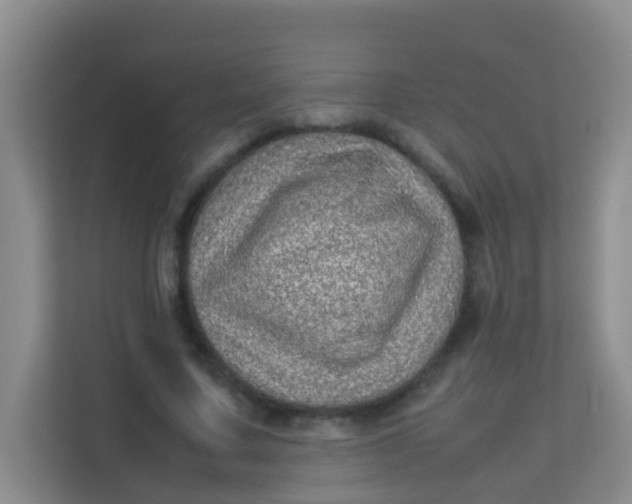 X0000113640683200910091537